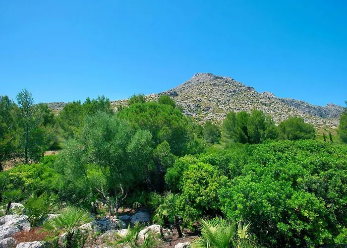 Вилла Carla By Sealand