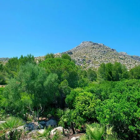 Villa Carla By Sealand